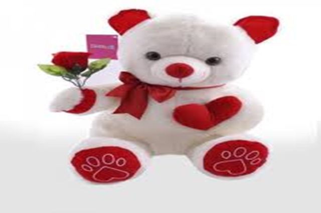 KALPLÝ VE GÜLLÜ AYICIK