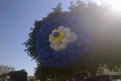 SÜNNET ORGANÝZASYONU BALON SÜSLEME 1